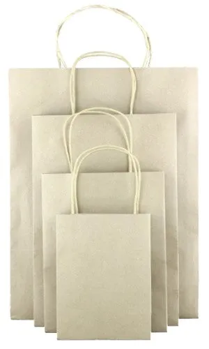 Bag - Kraft - Pack of 100 (Natural) (PB37)