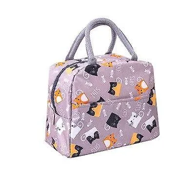 Lunch Boxes Totes Portable Lunch bag Thermal Insulated Lunch Box